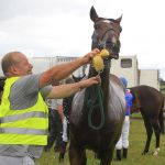 Noel McLaughlin cooling down his horse 'Atlantic Mac' at the Horse racing in Hillsboro Farm, Ramelton on Saturday. Photo: Donna El Assaad