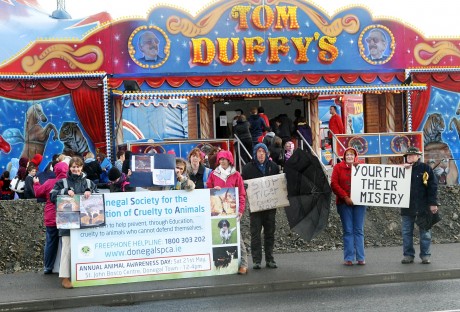 Last year's DSPCA protest at the caging of exotic animals at Duffy's Circus.