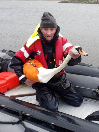 Conservation ranger Larry McDaid holding a sick mute swan.