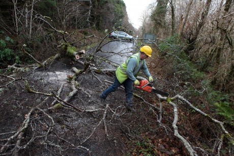 A Donegal County Council worker clears a fallen tree on the road between Gartan and Glendowan 