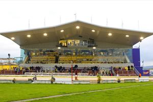 lifford stadium greyhound donegalnews
