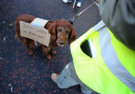 waterprotest310115dd04