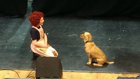 Brenda Carr (Annie) with Titan (Sandy the runaway dog)
