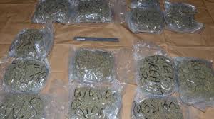 Cannabis similar to what was seized in Lurgan on Friday night. 