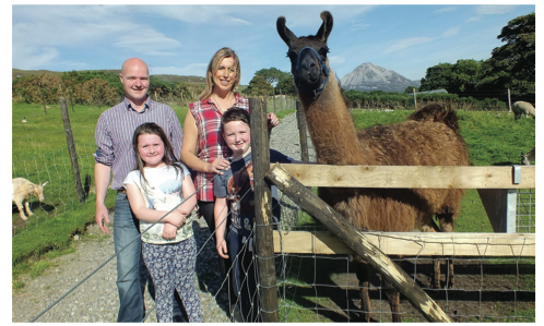 Connie and Fionnuala Gallagher and their children, Conn and Elisha pictured with the llama at their Errigal View Pet Farm at An Chúirt Hotel in Gweedore.