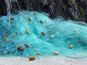 300px-A_fishing_net_in_Brandon_Creek_-_geograph.org.uk_-_921094