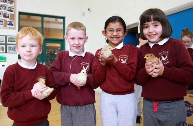 Easter Chicks.... Infants pupils at Scoil Cholmcille, Kilmacrennan with 3 week old chicks hatched in the classroom from an incubator, Patrick Corcoran, Peter Doherty, Selia Sobin and Clare McGeever. Photo: Donna El Assaad