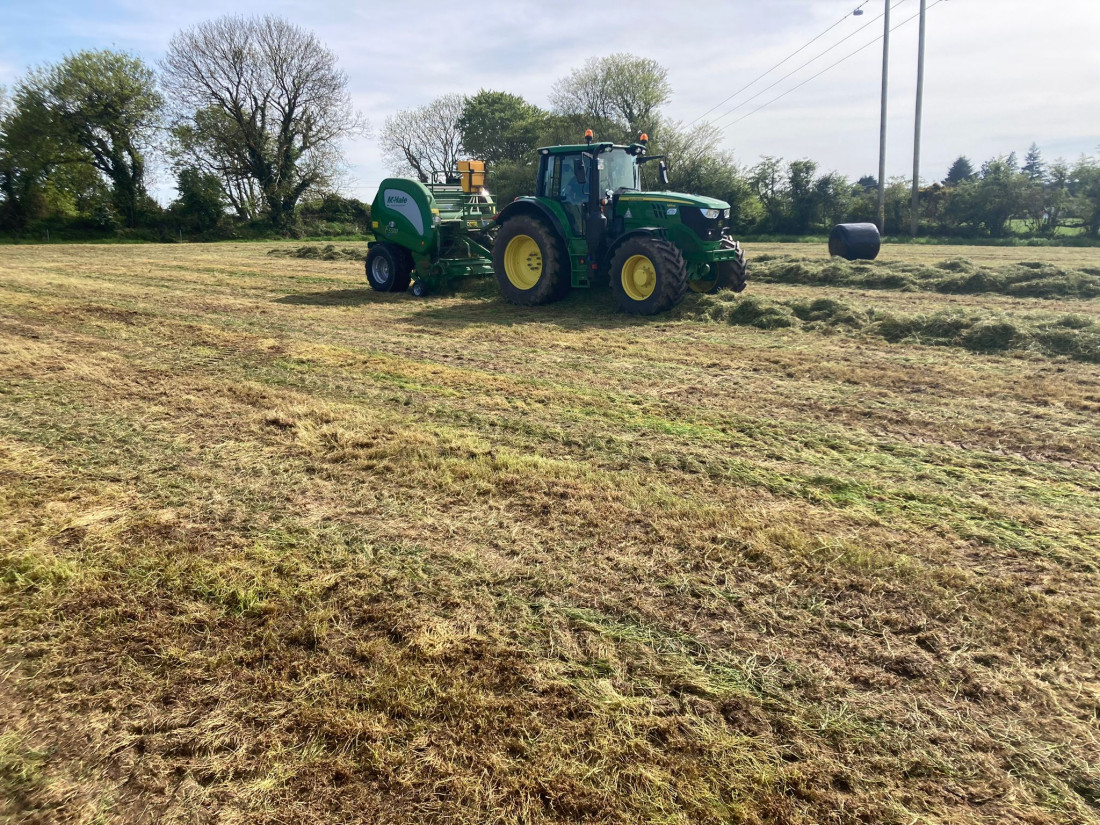 Inland Fisheries Ireland Appeals To Farmers To Protect Watercourses Inland Fisheries Ireland Appeals To Farmers To Protect Watercourses