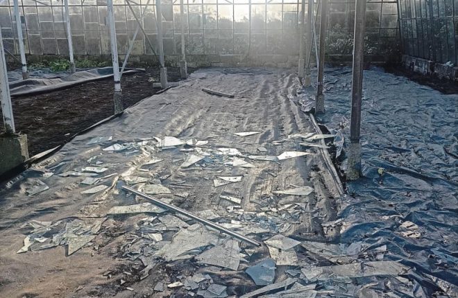 Polytunnels in Falcarragh destroyed in the storm