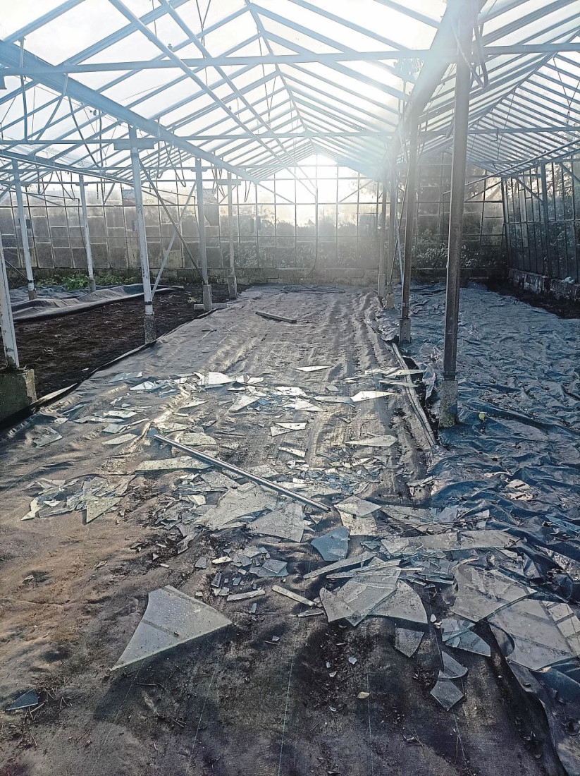 Polytunnels in Falcarragh destroyed in the storm