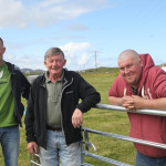 Sean Carr, James Carr and James McAteer at the Sheep Show during the Fanad Festival.