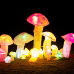 Mushrooms sculpture by Katie Mc Fadden.