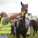 Noel McLaughlin cooling down his horse 'Atlantic Mac' at the Horse racing in Hillsboro Farm, Ramelton on Saturday. Photo: Donna El Assaad